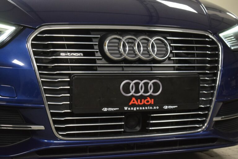 Close-up of a blue Audi e-tron grille with Audi logo and license plate.